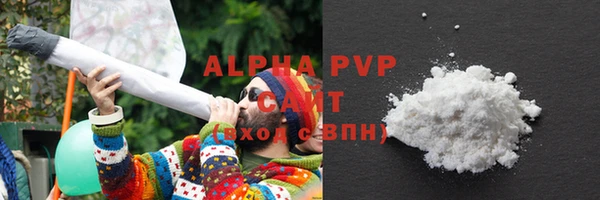 стаф Алексин