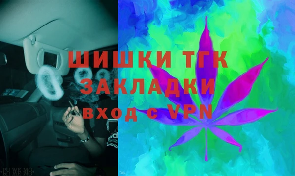 стаф Алексин