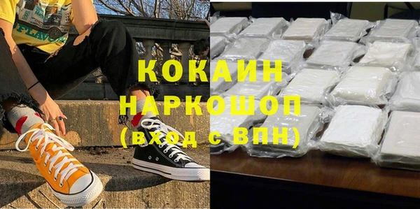 стаф Алексин