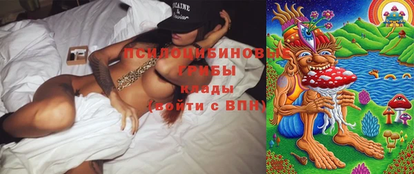 МДПВ Алзамай