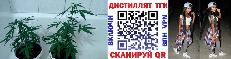 магазин продажи Пущино мега ссылки ТГК вейп с тгк