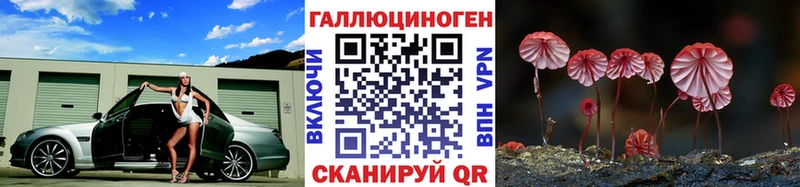 OMG как зайти  Пущино  Галлюциногенные грибы мухоморы 