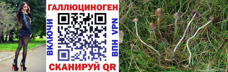 Галлюциногенные грибы GOLDEN TEACHER Пущино